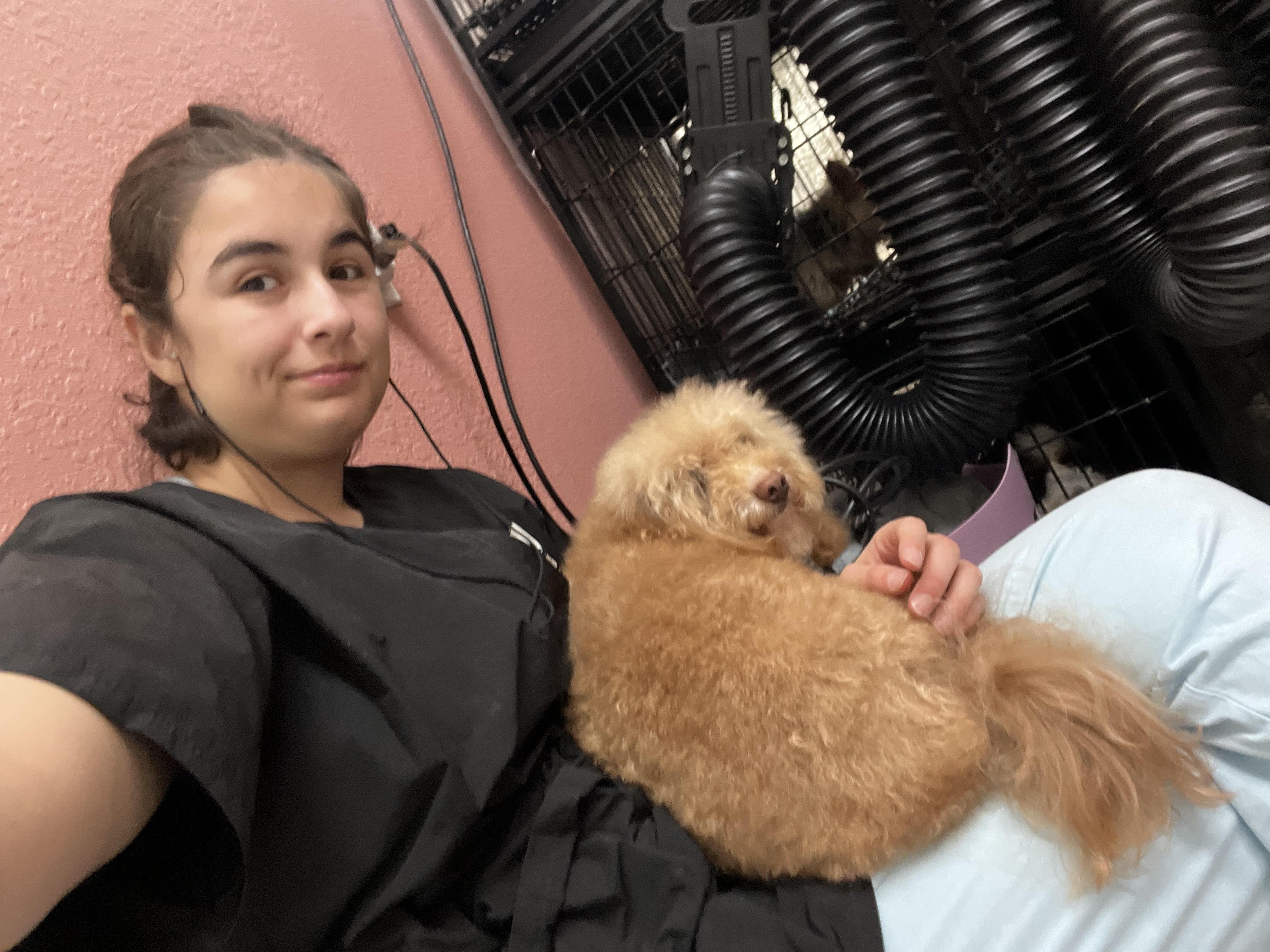 Happy pampered pet